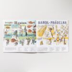 Dívej, ulice – Baobab