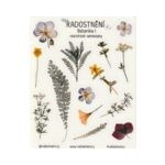 Realistické samolepky • Botanika I – Radostnění