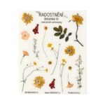 Realistické samolepky • Botanika VI – Radostnění