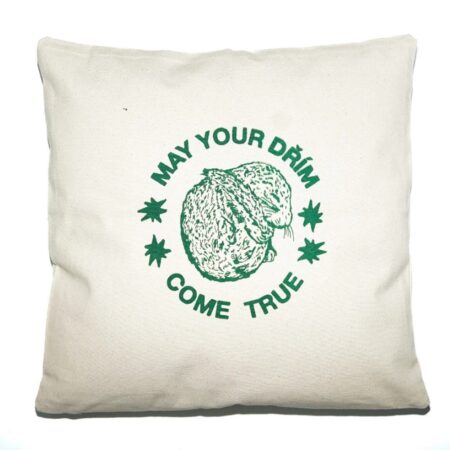 Polštář DŘÍM - KZW