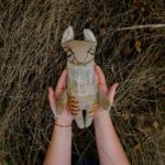 Srnečka víla podzimní – Pohana