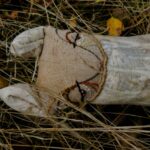 Srnečka víla podzimní – Pohana