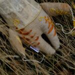 Srnečka víla podzimní – Pohana