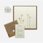 Přání se semínky sedmikrásky – Pozdrav z lesa