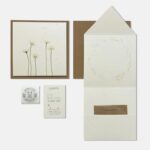 Přání se semínky sedmikrásky – Pozdrav z lesa