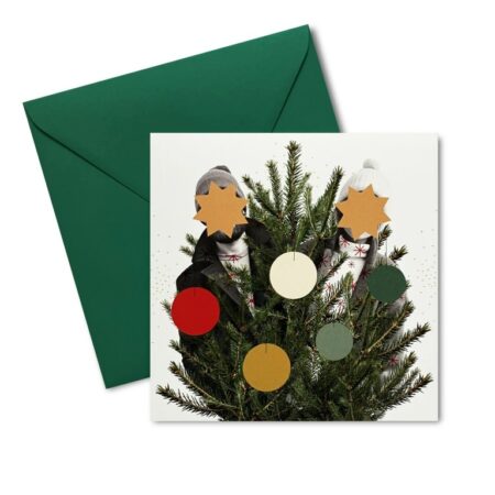 Vánoční přání s místem pro vaše fotografie - Pozdrav z lesa