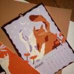 kocici-kalendar-2027-25.jpg