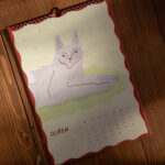kocici-kalendar-2027-25.jpg